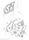Fig. 01 - Back support cushion device for chair
