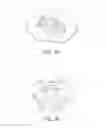 Fig. 29 - Anti-theft ring assembly and method of using the same