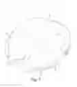 Fig. 08 - PILLOW