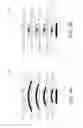Fig. 29 - Heated or cooled dishware and drinkware and food containers