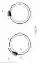 Fig. 72 - Heated or cooled dishware and drinkware and food containers