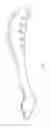 Fig. 02 - Ice Cream Scoop