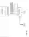 Fig. 09 - Automatic towel dispenser