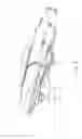 Fig. 07 - SELF-MOVING SWEEPING DEVICE