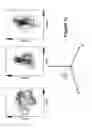 Fig. 10 - Algorithms for gait measurement with 3-axes accelerometer/gyro in mobile devices