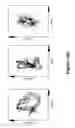Fig. 17 - Algorithms for gait measurement with 3-axes accelerometer/gyro in mobile devices