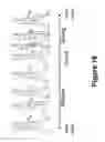 Fig. 25 - Algorithms for gait measurement with 3-axes accelerometer/gyro in mobile devices