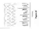 Fig. 43 - Algorithms for gait measurement with 3-axes accelerometer/gyro in mobile devices