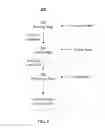 Fig. 03 - System and methods to predict serum lactate level