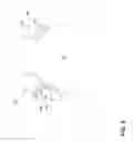 Fig. 08 - Eyelid speculum