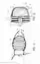 Fig. 07 - Left atrial appendage occlusion device