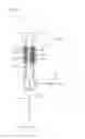 Fig. 09 - Surgical instrument