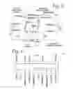 Fig. 04 - Hand Held Dermaplaning Device and Dermaplaning Process