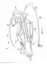 Fig. 06 - Robotic devices and systems for performing single incision procedures and natural orifice translumenal endoscopic surgical procedures, and methods of configuring robotic devices and systems