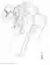Fig. 03 - INTRA-OPERATIVE MEDICAL IMAGE VIEWING SYSTEM AND METHOD