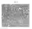 Fig. 06 - IMPLANT AND MANUFACTURING METHOD THEREFOR