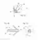 Fig. 08 - Method of treating urinary incontinence