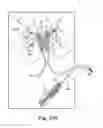 Fig. 25 - Tissue anchor and a suture inserted through the tissue anchor having end portions of the suture maintained within a conduit