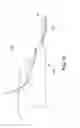 Fig. 33 - Tissue anchor and a suture inserted through the tissue anchor having end portions of the suture maintained within a conduit