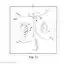 Fig. 69 - Tissue anchor and a suture inserted through the tissue anchor having end portions of the suture maintained within a conduit