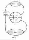 Fig. 03 - Implantable cardio-vascular flow streamliner