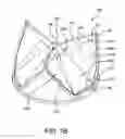Fig. 03 - Asymmetric opening and closing prosthetic valve leaflet