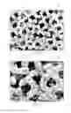 Fig. 16 - ORTHOPAEDIC IMPLANTS AND METHODS
