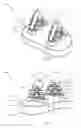 Fig. 02 - Glenoid arthroplasty with multi-directional fixation