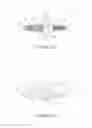 Fig. 07 - Ball and socket implants for correction of hammer toes and claw toes
