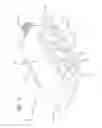 Fig. 10 - Expandable spinal implant and method of implanting same