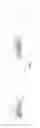 Fig. 07 - Insertion tool assembly