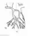 Fig. 03 - Medical device