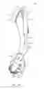 Fig. 09 - Medical protective and exercise restraint systems and methods