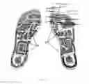 Fig. 02 - Foot massage physiotherapy plates