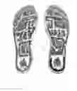 Fig. 03 - Foot massage physiotherapy plates