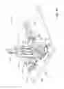Fig. 10 - Method and apparatus for forming delivery devices for oral intake of an agent