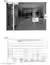 Fig. 04 - STABILIZED POLYRIBONUCLEOTIDE CODING FOR AN ELASTIC FIBROUS PROTEIN