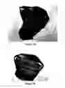 Fig. 05 - Skin cleansing compositions comprising biodegradable abrasive particles