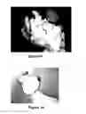 Fig. 06 - Skin cleansing compositions comprising biodegradable abrasive particles