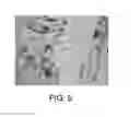 Fig. 06 - Topical compositions for stimulating adipogenesis and lipogenesis to reduce the signs of skin aging