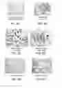 Fig. 09 - Topical compositions for stimulating adipogenesis and lipogenesis to reduce the signs of skin aging