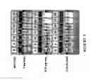 Fig. 08 - DELIVERY OF BIOLOGIC THERAPEUTICS