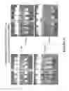 Fig. 33 - DELIVERY OF BIOLOGIC THERAPEUTICS