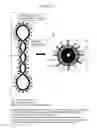 Fig. 07 - NANOPARTICLES FOR TARGETED GENE THERAPY AND METHODS OF USE THEREOF