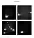 Fig. 16 - NANOPARTICLES FOR TARGETED GENE THERAPY AND METHODS OF USE THEREOF