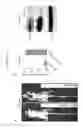 Fig. 22 - NANOPARTICLES FOR TARGETED GENE THERAPY AND METHODS OF USE THEREOF