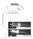 Fig. 23 - NANOPARTICLES FOR TARGETED GENE THERAPY AND METHODS OF USE THEREOF