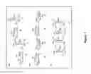 Fig. 02 - Calcium alginate dosage formulations, and methods of making and using thereof