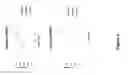 Fig. 07 - Calcium alginate dosage formulations, and methods of making and using thereof
