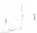 Fig. 32 - Calcium alginate dosage formulations, and methods of making and using thereof